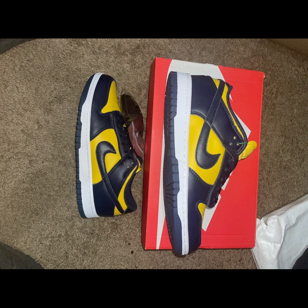 Nike SB dunk low Michigan
